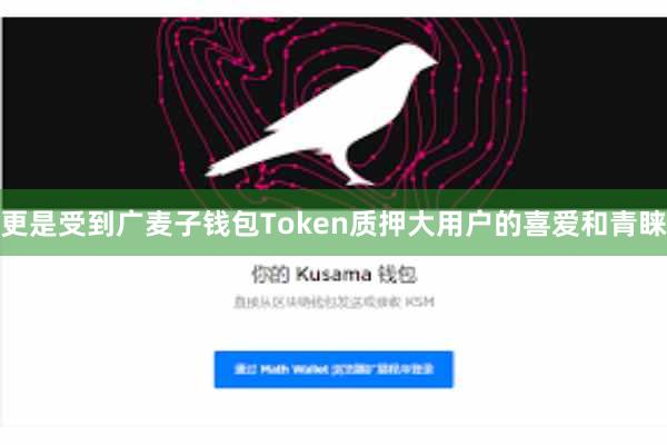 更是受到广麦子钱包Token质押大用户的喜爱和青睐