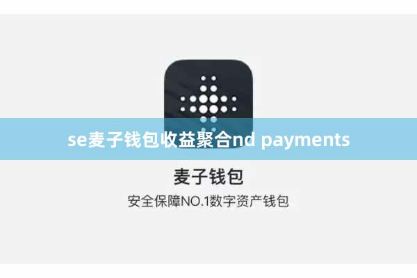 se麦子钱包收益聚合nd payments