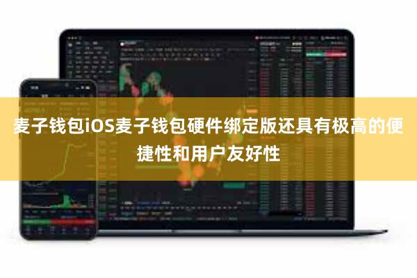 麦子钱包iOS麦子钱包硬件绑定版还具有极高的便捷性和用户友好性