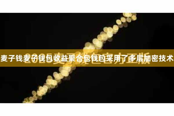 麦子钱麦子钱包收益聚合包钱包采用了多层加密技术