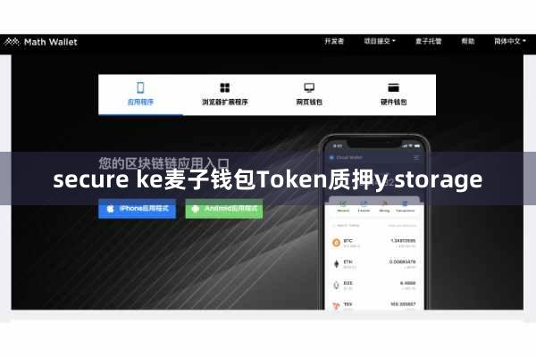 secure ke麦子钱包Token质押y storage