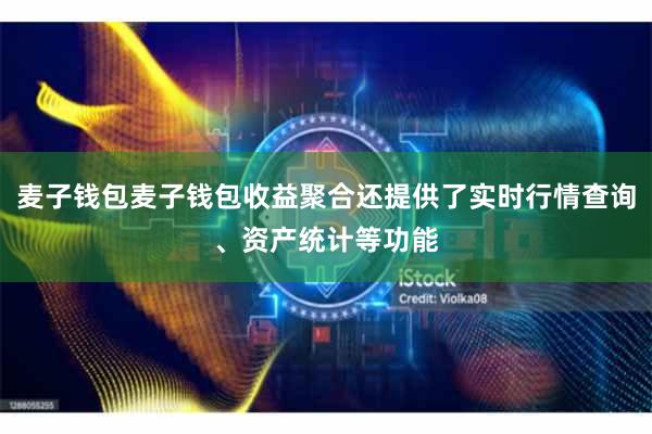 麦子钱包麦子钱包收益聚合还提供了实时行情查询、资产统计等功能