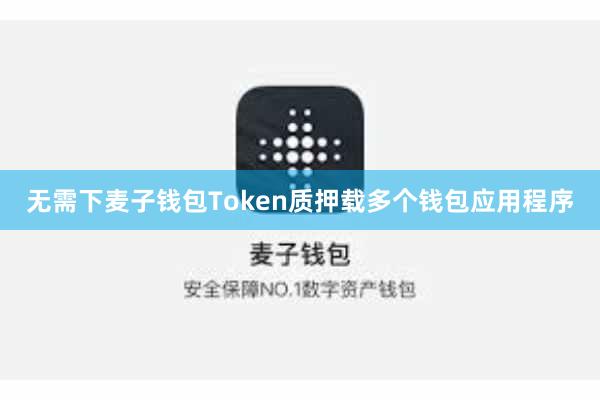无需下麦子钱包Token质押载多个钱包应用程序