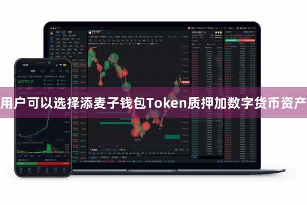 用户可以选择添麦子钱包Token质押加数字货币资产