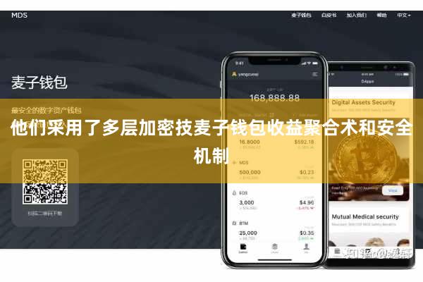 他们采用了多层加密技麦子钱包收益聚合术和安全机制