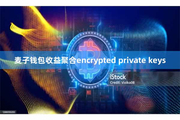 麦子钱包收益聚合encrypted private keys