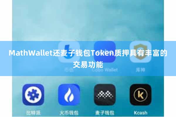 MathWallet还麦子钱包Token质押具有丰富的交易功能